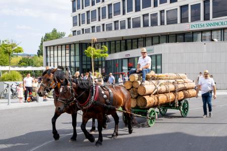 Fotografija - Foto atelje Postojna (16)